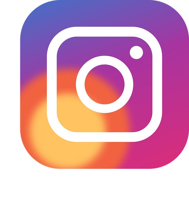 link instagram